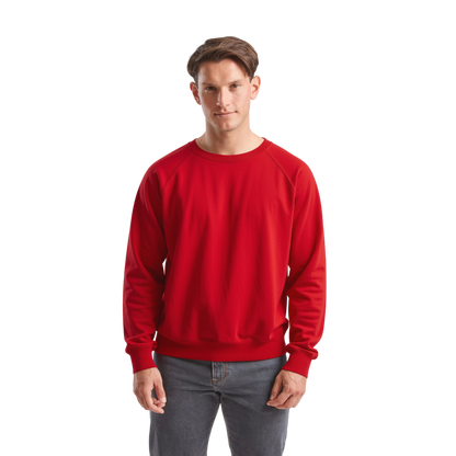 Classic Raglan Sweater