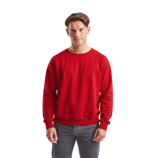 Classic Raglan Sweater