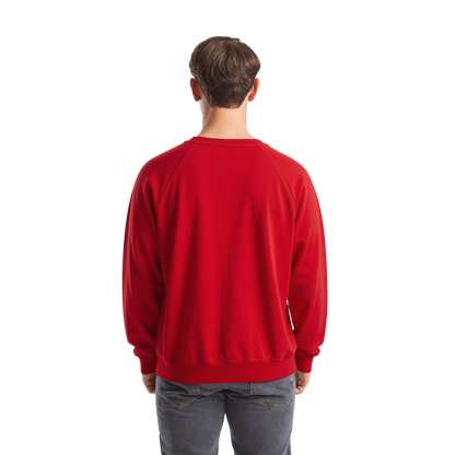 Classic Raglan Sweater
