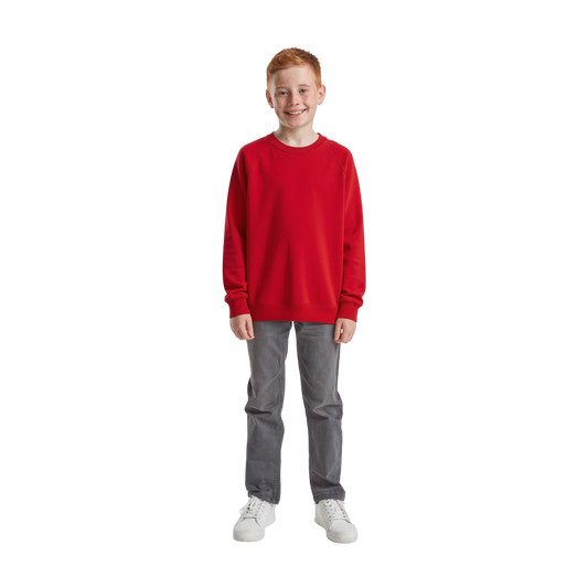 Kids Raglan Sweater