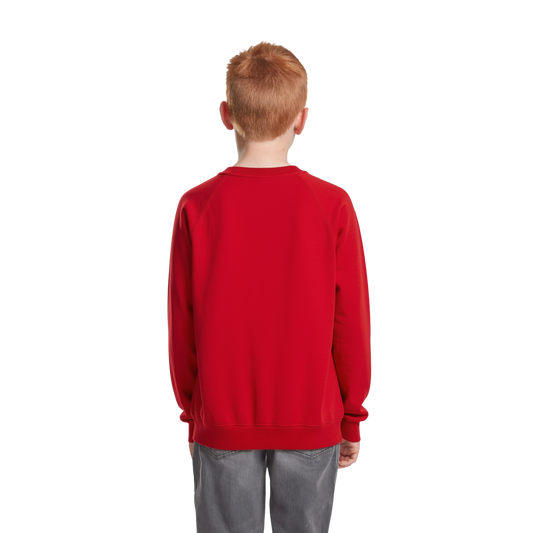 Kids Raglan Sweater